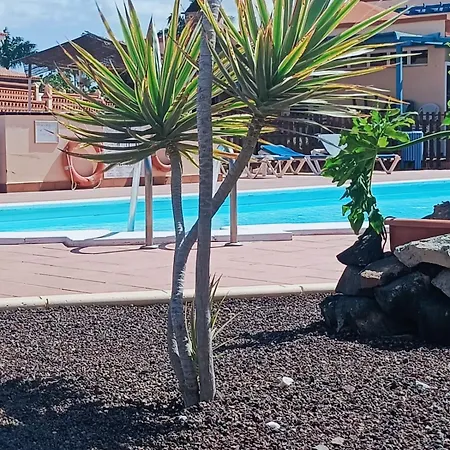Casa Anita, Pool Sea And Surf In * 科拉雷侯